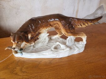 Lovecký pes Royal - Dux - 4