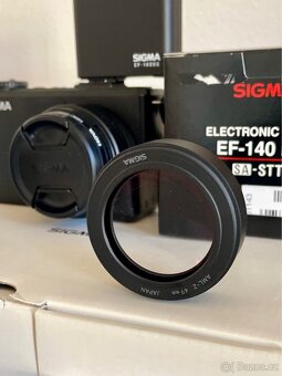 Sigma DP2 Merrill - 4