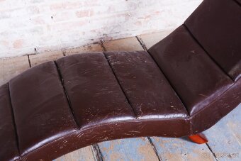 Elegantní hnědá lenoška - 4