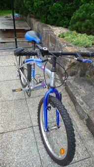 Děrtské kolo 20" Olpran Lucky - 4