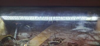 Prodam akvarium Juwel Lido 120 L - 4