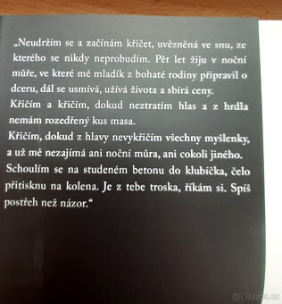 Kolektiv - Alison Gaylin - 4