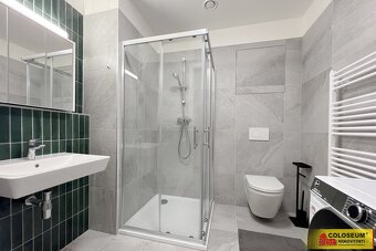 Brno - Horní Heršpice, pronájem bytu OV 2+kk, 37 m², parkova - 4