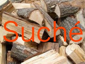 Palivové dřevo dříví měkké tvrdé listnatý suché - 4