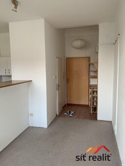 Pronájem bytu, 1+kk, 22m2, P3 - Žižkov, klidná lokalita, výb - 4