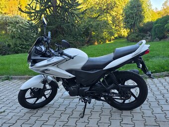 Prodám: Honda CBF125 - 4