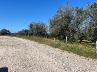 Stavební pozemek 3km od moře - 4