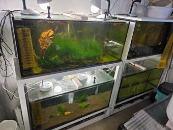 akvárium, akvária, stojan, stojany - 4