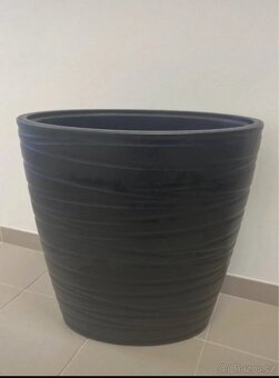 Xxl benjamin vcetne kvetinace - 4