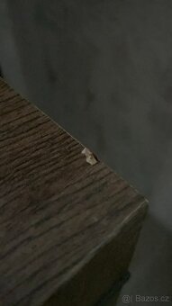 Předsíňová sestava - 4