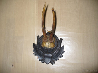 Parohy - trofeje - 4