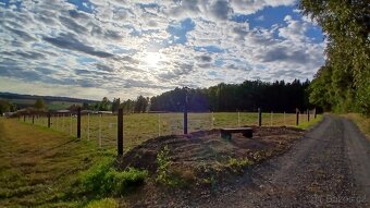 Ustájení koní - 4