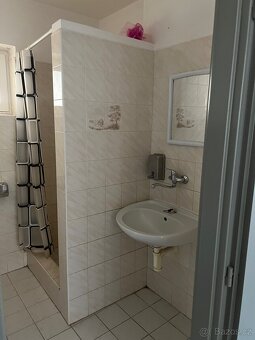 Pronájem bytových a nebytových prostor - 4