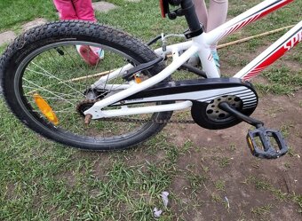 Kolo Specialized 20 - 4