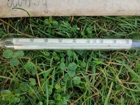 Starý zavařovací teploměr - 4