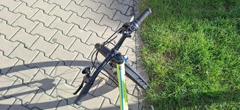 Author Record 20" - 4