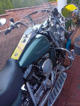 Harley - 4