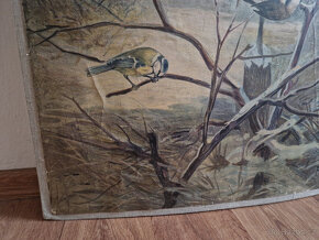 Velký starý školní výukový plakát obrázek ptáci sýkorky - 4