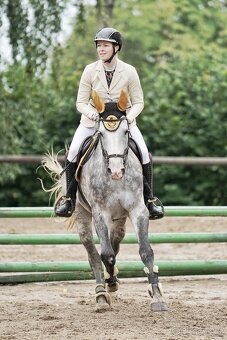 Milionový valach ČT - 4