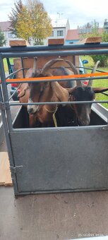 Klec na přepravu zvířat - 4