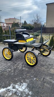 Kočár pro pony a menčí koně - 4