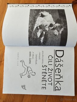 Dášeňka, čili život štěněte - 4