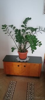 Nábytek 50 leta - 4