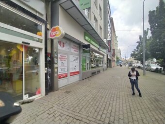 SLADOVACI KOJI PLZEN. - 4