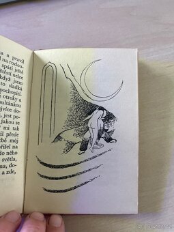 Voltaire – Odaliska (1928), exkluzivní bibliofilské vydání - 4