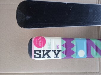 Lyže Elan : 120 cm . - 4