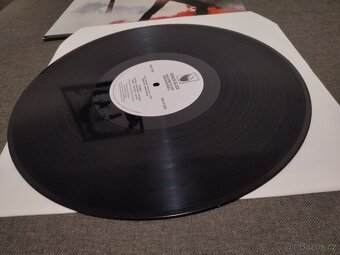 LP - GRACE SLICK - Welcome To The Wrecking Ball - kat.č. PIP - 4