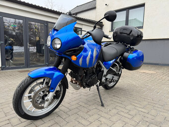 Triumph Tiger 955i - 4