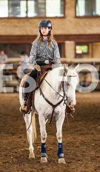 Appaloosa klisna z prověřeného původu - 4