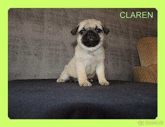 MOPS s PP. - 4
