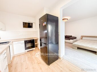 Pronájem vybaveného bytu 1+kk s dvorem, 44 m2, Znojmo, 17. L - 4