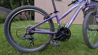 Specialized Hotrock 24 - 4