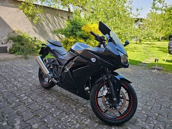 Kawasaki Ninja 250R - 4