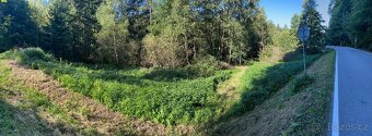 Pozemek 6 104 m² na Vysočině – BEZ RK - 4