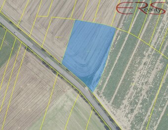 Pole, 22 918 m², Čelákovice, ev.č. 00602 - 4