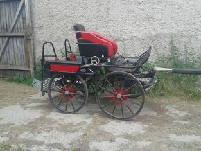 Maratoňák -  koně, pár Kuhnle - 4