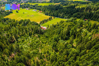 Prodej lesa, 12430 m², Písek - 4