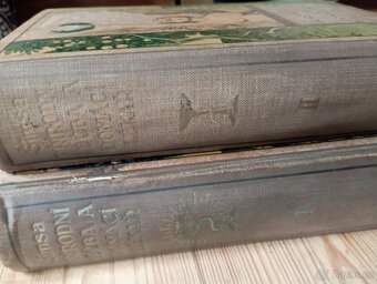 Šimsa - Přírodní léčba a domácí lékař I.+II.díl - 4