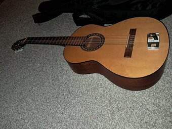 Kytara s pouzdrem - 4