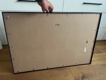 Rám Lomviken 50x70 s obrazem šišky - 4