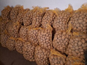 Konzumní brambory na uskladnění - 4