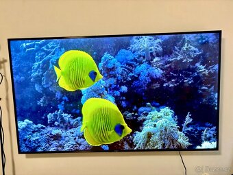 Televize Sony 75 195cm - 4