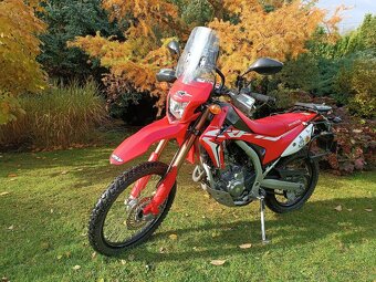 CRF 250L - 4