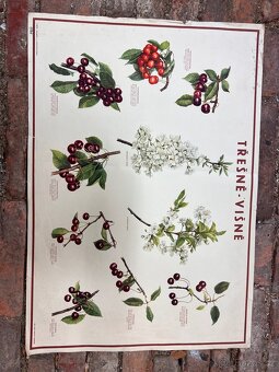 Školní plakáty 100 ks - 4