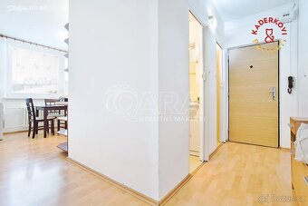 Prodej bytu 2+1 ve Velkých Opatovicích - 4