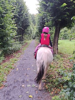Úžasná pony kobylka - 4
